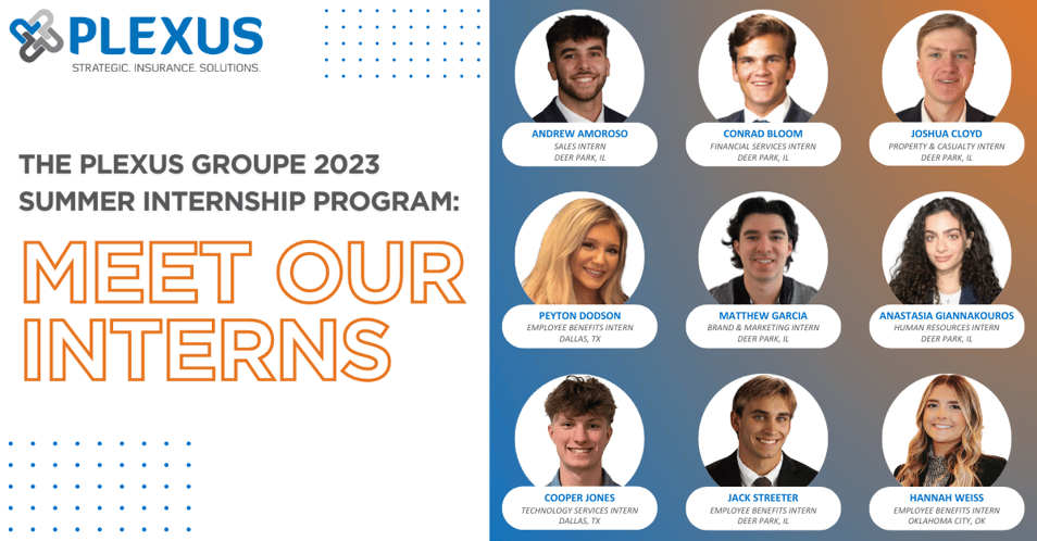 Introducing 2023 Plexus Summer Interns - External Announcement (Blog & LinkedIn, FB, Twitter Image)